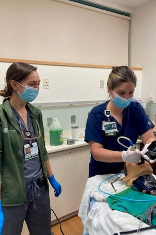 Two critical care students working in a simulation lab