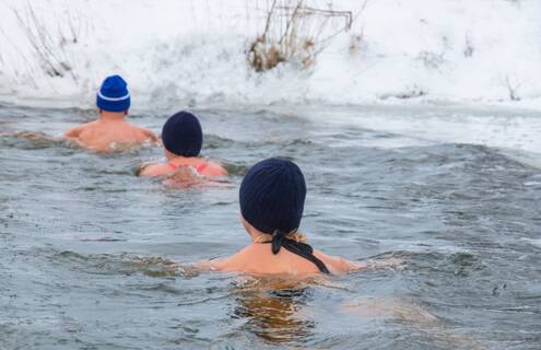 Three people swimming in the water, snow is on the ground behind them